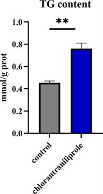 Transcriptome analysis of fat accumulation in 3T3-L1 adipocytes induced by chlorantraniliprole